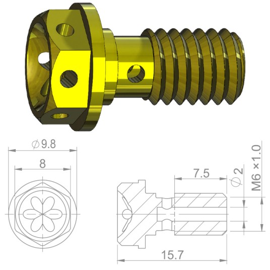 Śruba banjo HBP05 Alu;M6x1.0;CZ