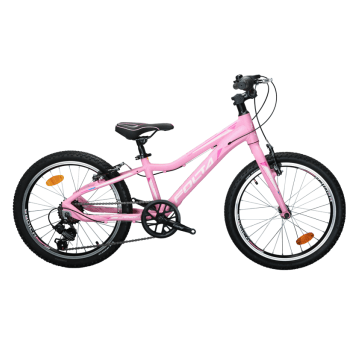 Rower 20" VICCA Alu;1x6s;VB PN