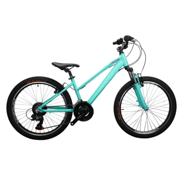 Rower 24" CAMINA Alu;3x6s;VB MN